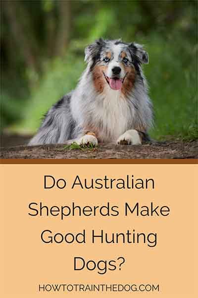 Image result for Aussie Dog Hunting