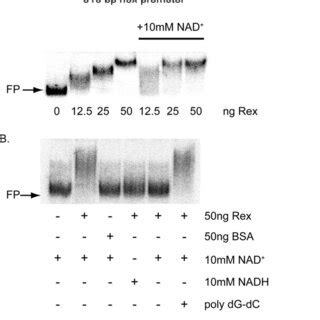 Image result for Microarray Data Plot Charts