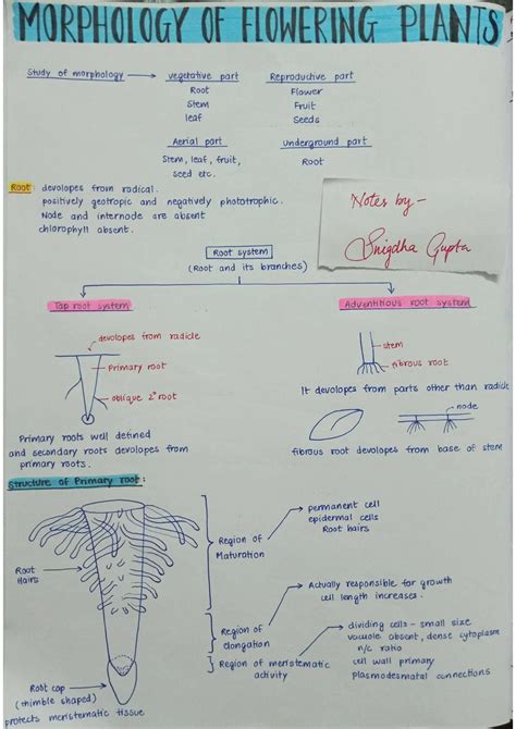 Toradh íomhá ar JavaScript Short Notes PDF