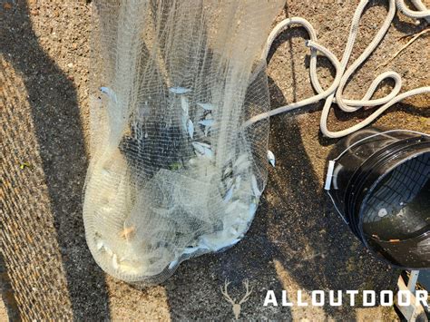 Image result for Storing Cast Net