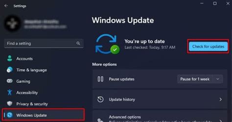 Toradh íomhá ar Testing My Surface Camera
