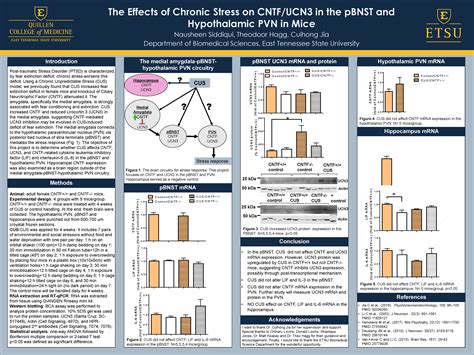 Python Scientific Poster Example に対する画像結果