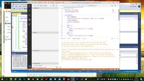 Afbeeldingsresultaten voor How to Enter Input in Visual Studio Code