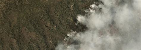 Image result for Pattern of Life Geospatial