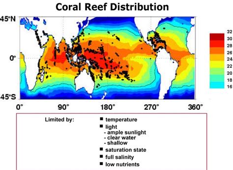 Coral Reef Distribution Map に対する画像結果