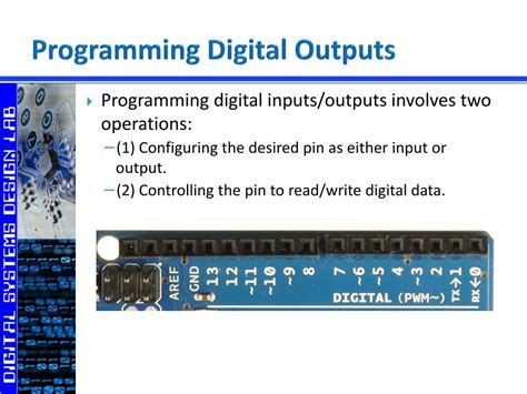 Image result for Digital Output Data