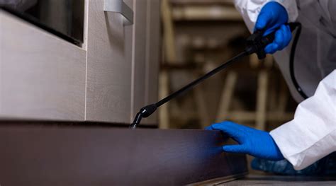 Pest Control Best Practices に対する画像結果