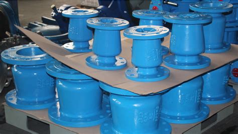 Toradh íomhá ar Spring Loaded Flapper Valve