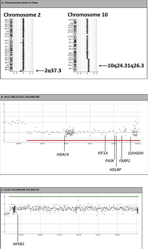Array Comparative Genomic Hybridization に対する画像結果