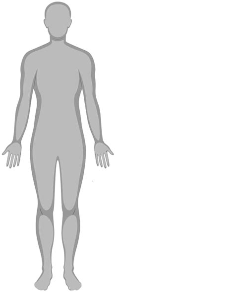 Image result for OrthoCor Back Active System