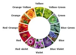 Image result for Color Wheel Flower Design