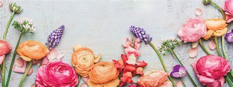 Image result for Flowers to Go On a Cake with Icing