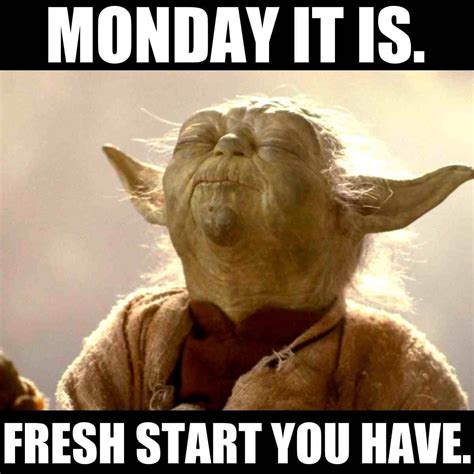 70 funny monday memes and images to kick start your week – Artofit