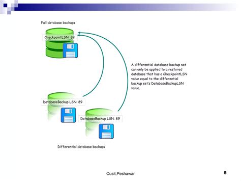 Database Backup From Design に対する画像結果