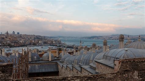 Image result for Ed Ex Harvard