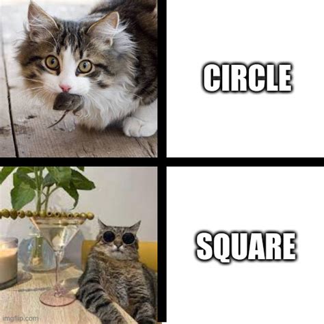 Square Circle Meme Developer に対する画像結果