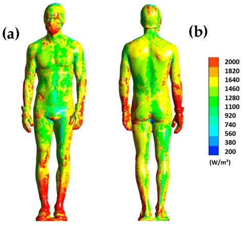 MATLAB Human Body Heat Map に対する画像結果