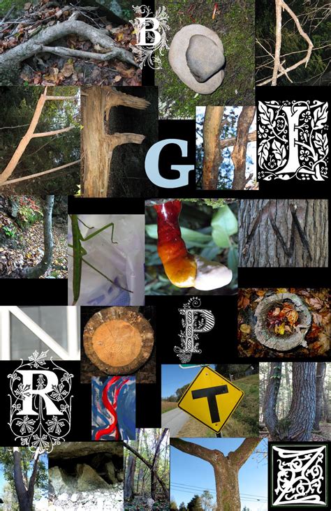 Image result for Alphabet Project 2