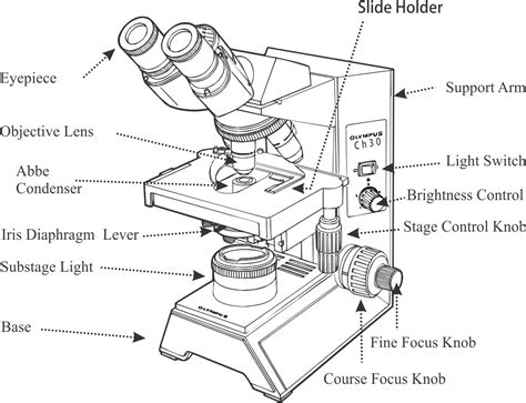 Compound Microscope Lab-साठीचा प्रतिमा निकाल