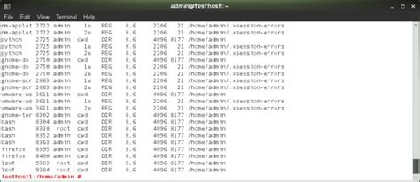 Image result for Example of Lsof Used in Cmd PMP