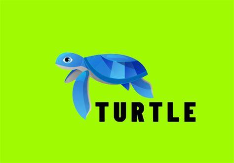 Image result for Logo Turtle Graphics