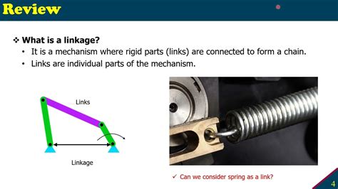 Image result for Python Linkage Spring