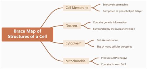 Afbeeldingsresultaten voor Cell Structure Mind Map