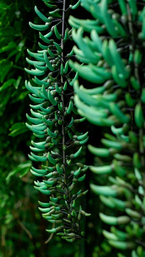 Image result for Unique Cell Phones