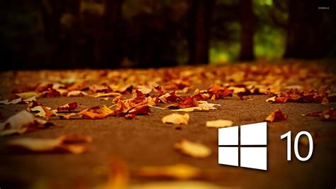 Image result for Windows Background High Resolution