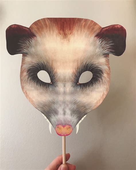 Toradh íomhá ar Possum Mask Printable