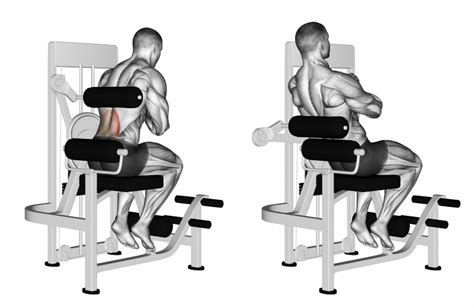 Image result for Back Extension Exercise Machine