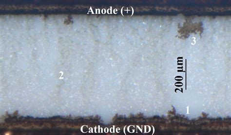 Image result for Potted Power Module