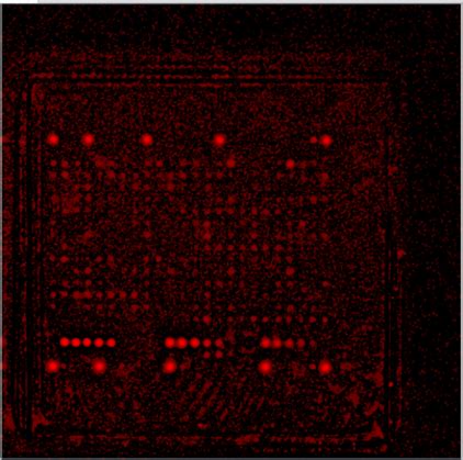 Noise Filtering of Microarray Data に対する画像結果