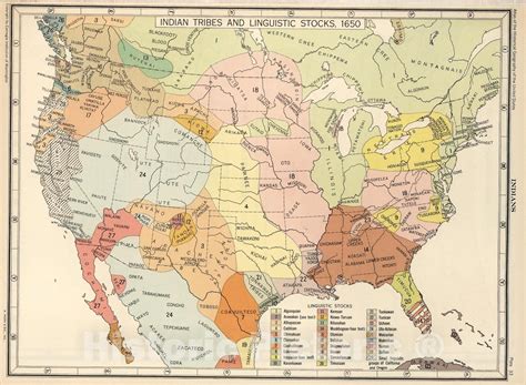 Image result for Map of Native American Tribes Before Colonization