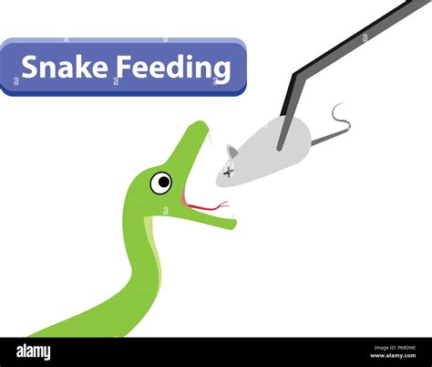 Image result for Python Eating a Mouse Clip Art