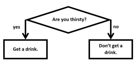 Image result for Program Flow Diagram Triple Choice