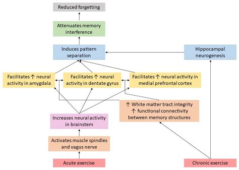 Short-Term Memory Interference Game కోసం చిత్ర ఫలితం