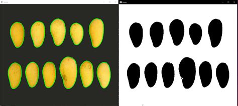 Image result for Python Server Mango