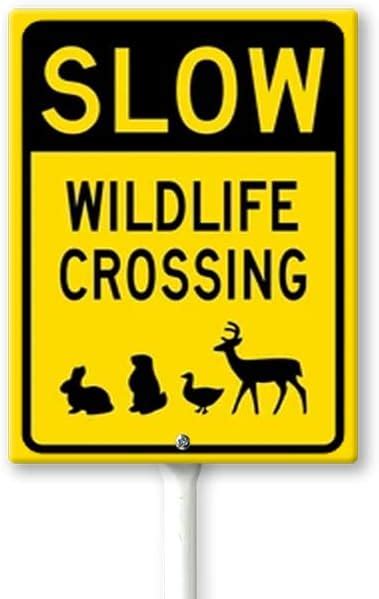 Image result for Slow Birds Crossing