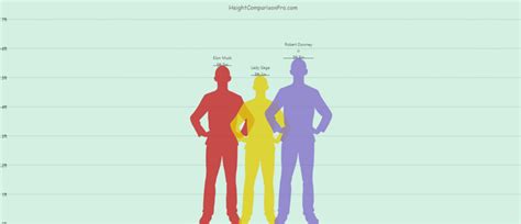 Image result for Height Comparison On Java