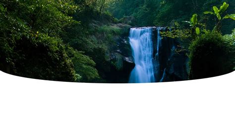 Image result for Smooth Rounded Corner CSS