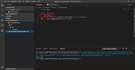 Image result for Visual Studio Code Setup for Java