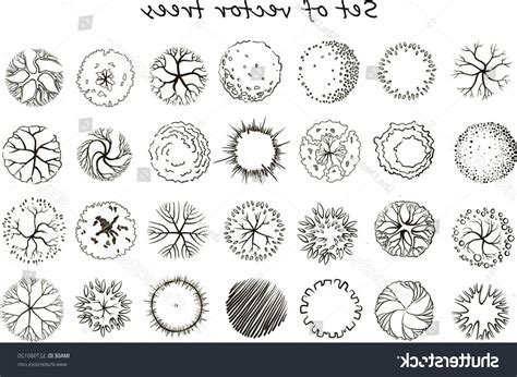 Image result for TreePlan Vector