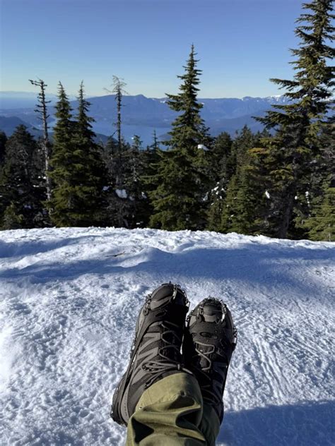 Image result for App Tesla Apple Watch