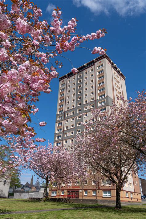 High-Rise City に対する画像結果