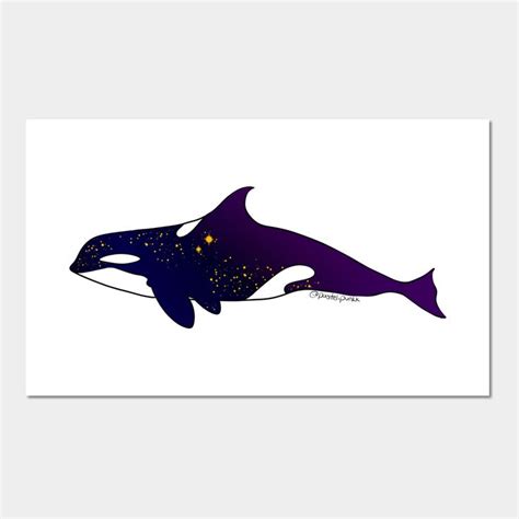 Image result for Orca in Space