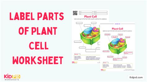 Toradh íomhá ar Label Sort Key
