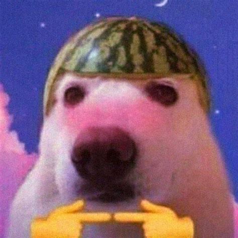 Image result for Random Pinterest PFP