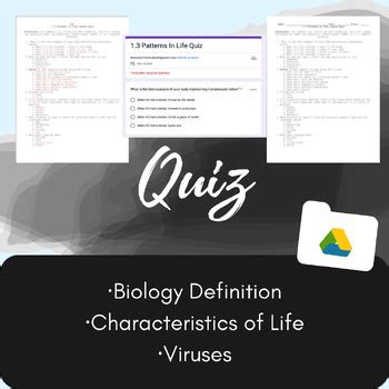 Image result for Patterns of Life Lesson 3