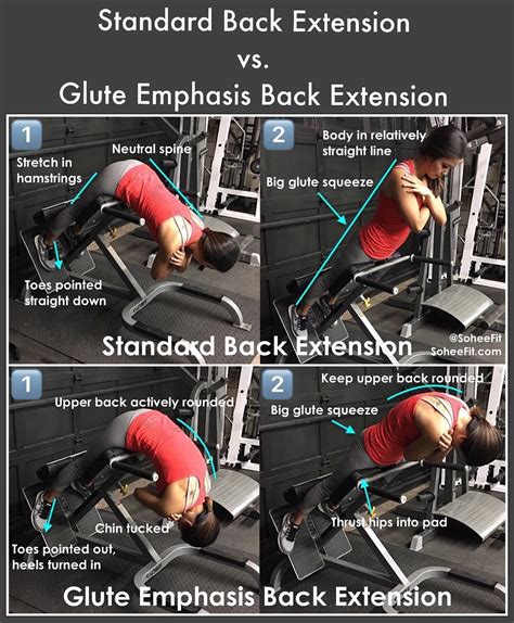 Image result for Back Extension Variations